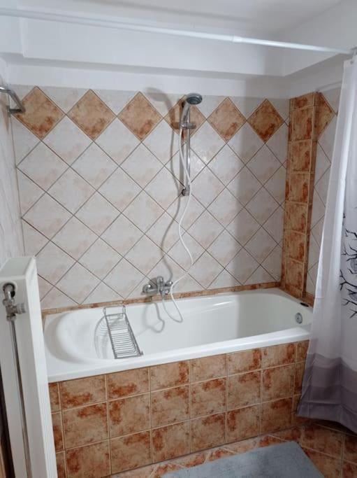 Trikala Alex House Apartment Bagian luar foto