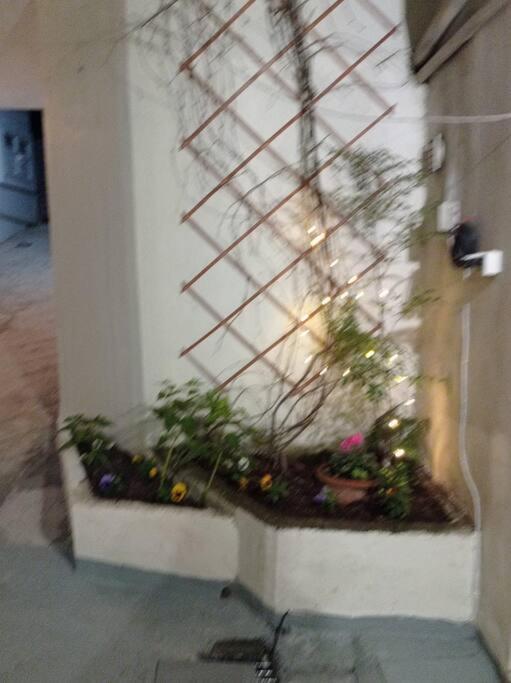 Trikala Alex House Apartment Bagian luar foto