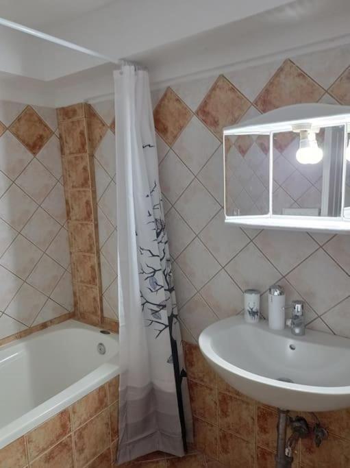 Trikala Alex House Apartment Bagian luar foto